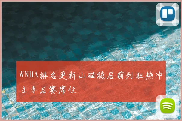WNBA排名更新山猫稳居前列狂热冲击季后赛席位