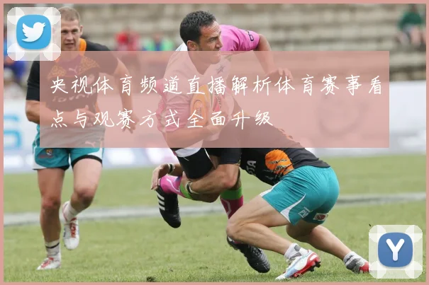 央视体育频道直播解析体育赛事看点与观赛方式全面升级