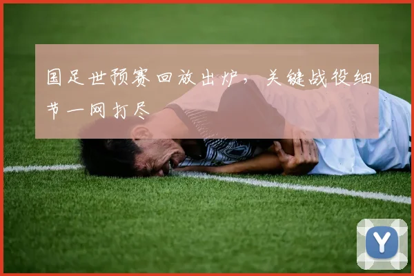 国足世预赛回放出炉，关键战役细节一网打尽