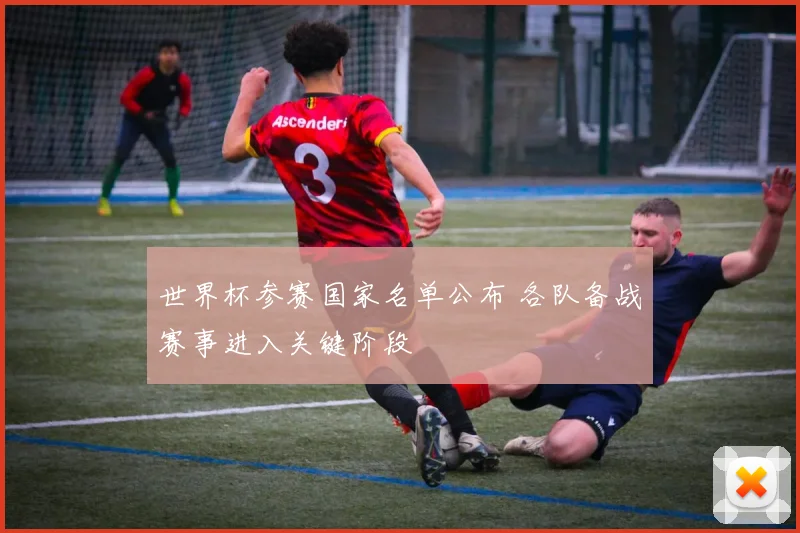 世界杯参赛国家名单公布 各队备战赛事进入关键阶段